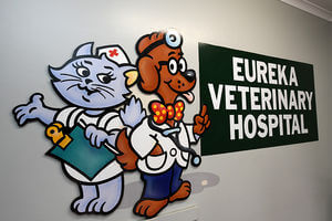 Emergency and After Hours - Eureka Veterinary Hospital Ballarat