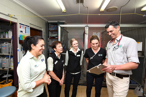 Hospitalisation - Eureka Veterinary Hospital Ballarat