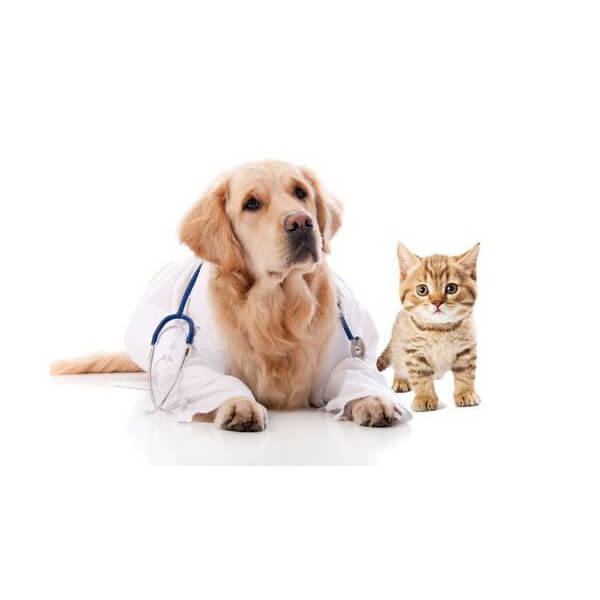 Pet Insurance - Eureka Veterinary Hospital Ballarat